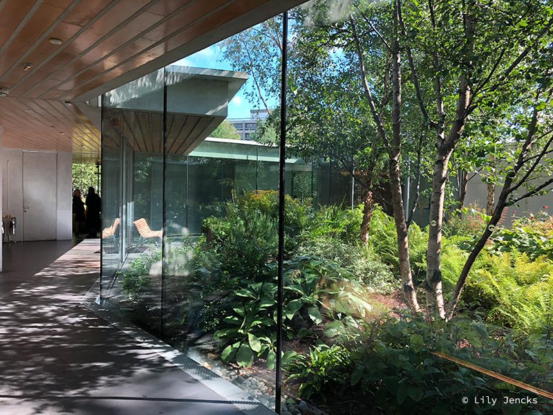 Maggie’s Centre Gartnavel Hospital, Glasgow