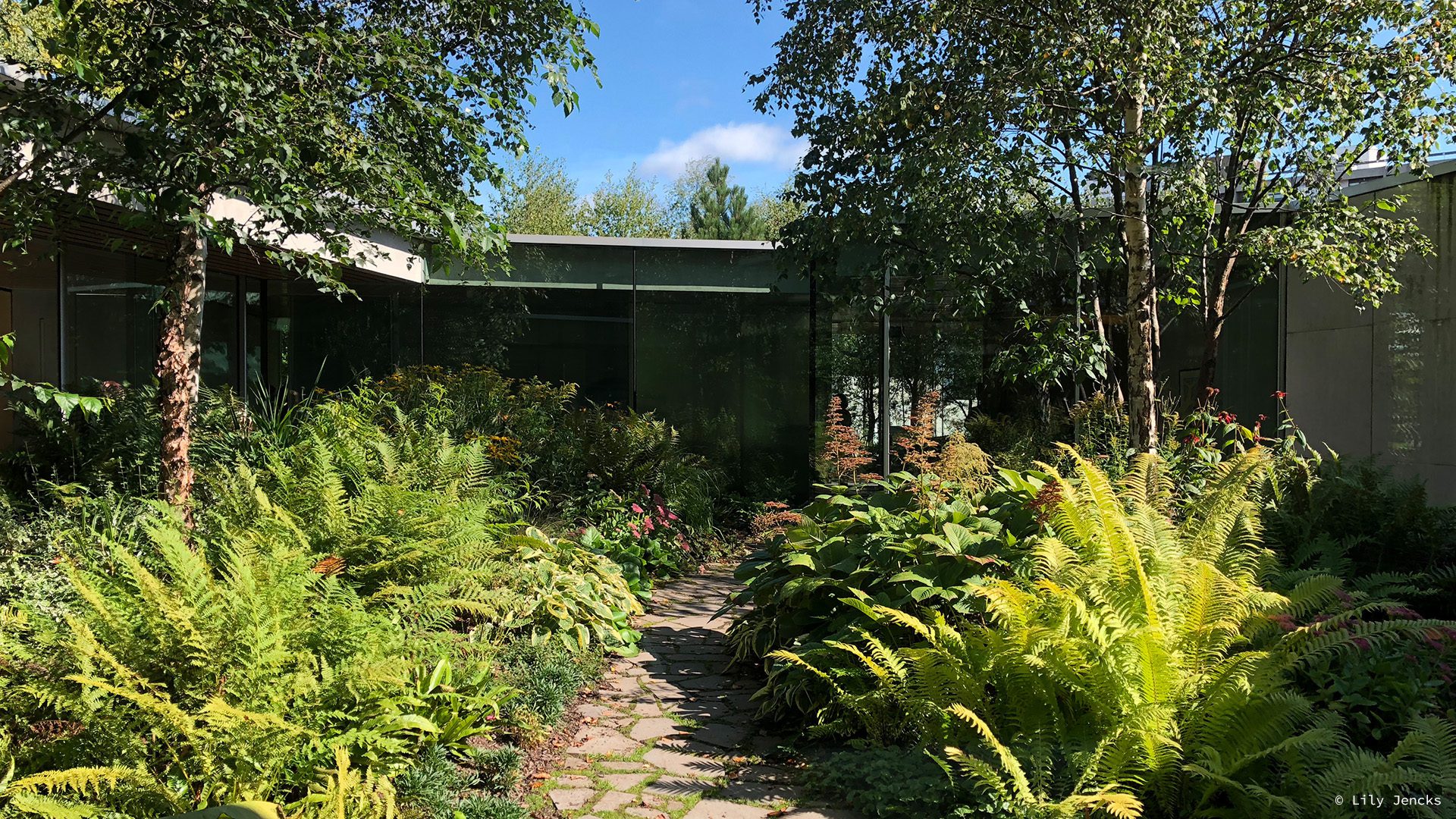 Maggie’s Centre Gartnavel Hospital, Glasgow