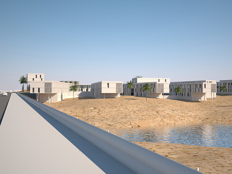 Libya-Universities_body-8